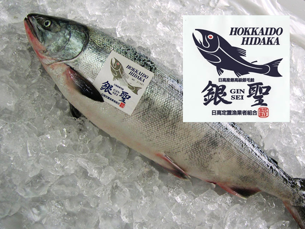北海道の恵み「ご当地食材」えりも産天然銀毛鮭「銀聖」